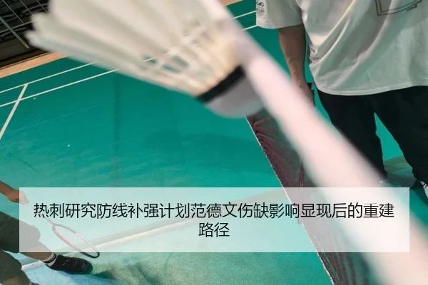 热刺研究防线补强计划范德文伤缺影响显现后的重建路径